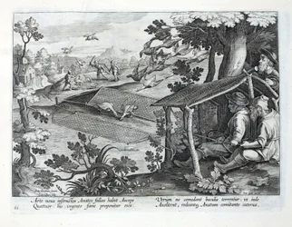 Um novo método para caçar patos, ilustração de &39;Venationes, Ferarum, Avium, Piscium&39; (de caça: feras, pássaros, peixes), gravada por Jan Collaert (1566-1628), pub. por Phillipus Gallaeus, Amster
